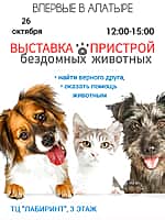 Культурные выходные в Алатырском муниципальном округе (фото №3).