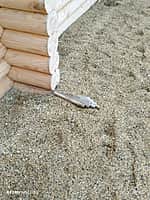 В Алатыре начала разваливаться историческая крепость (фото №3).