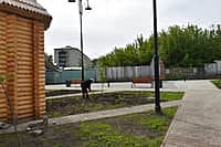 На территории Алатырского муниципального округа наведение чистоты и порядка продолжается (фото №5).