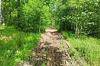 в Алатырском МО проведены работы по опашке минерализованных полос для предотвращения распространения огня (фото №1).