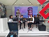 Инструментальная группа "Арт-Алатырь" представляет Алатырский МО на V Международном туристическом форуме "Путешествуй" в г. Москва. (фото №1).