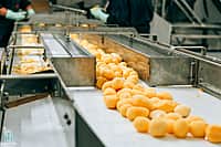 В Чебоксарском МО открылся современный цех по переработке и упаковке овощей (фото №2).