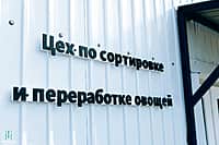 В Чебоксарском МО открылся современный цех по переработке и упаковке овощей (фото №3).
