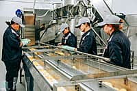 В Чебоксарском МО открылся современный цех по переработке и упаковке овощей (фото №4).