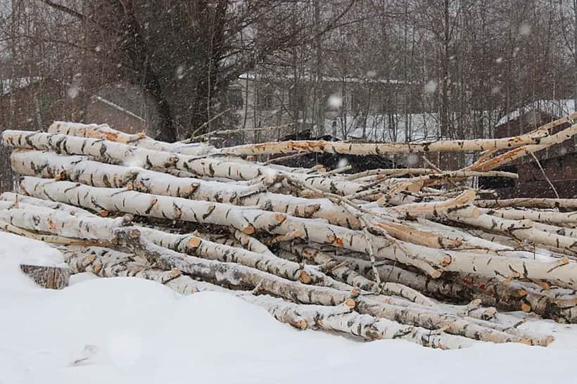 На строящемся заводе по глубокой переработке древесины в Алатыре запущено производство пиломатериалов.