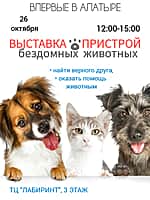 Культурные выходные в Алатырском муниципальном округе! (фото №3).