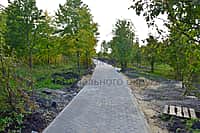 Благоустройство парка имени 450-летия в Алатыре продолжается (фото №1).