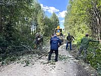 В Кире прошёл субботник по благоустройству территории (фото №1).