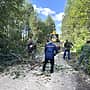 В Кире прошёл субботник по благоустройству территории.