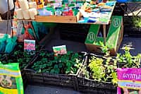 5 апреля в Алатырском МО состоится открытие ежегодной сельскохозяйственной ярмарки «Весна-2026».