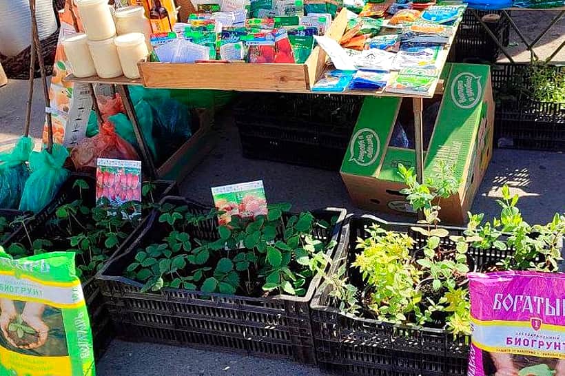 5 апреля в Алатырском МО состоится открытие ежегодной сельскохозяйственной ярмарки «Весна-2026».