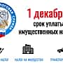 1 декабря истекает срок уплаты имущественных налогов физическими лицами.