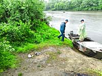 В Алатыре во время купания пропала 12-летняя девочка (фото №1).