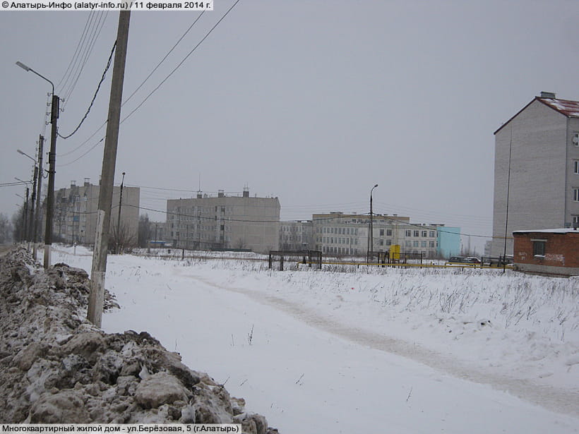 ул. Берёзовая, 5 (г. Алатырь). 11 февраля 2014 (вт).