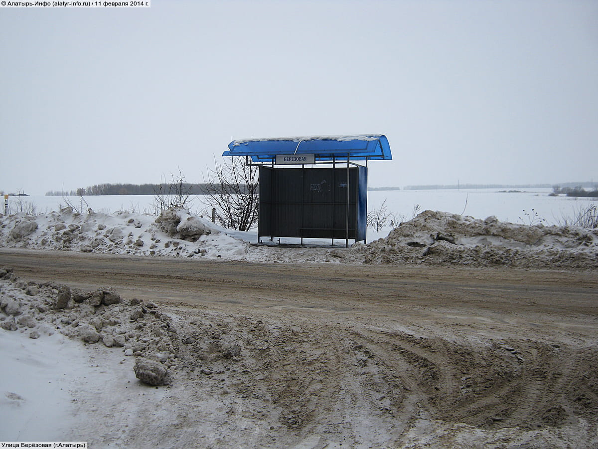 Улица Берёзовая (Алатырь).