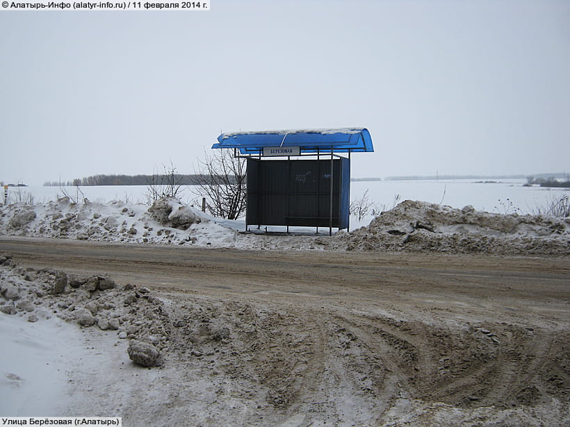 Улица Берёзовая (г. Алатырь). 11 февраля 2014 (вт).