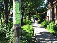 Улица Гоголя . 01 июня 2014 (вс).