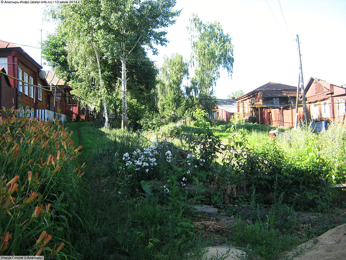 Улица Гоголя . 13 июля 2014 (вс).