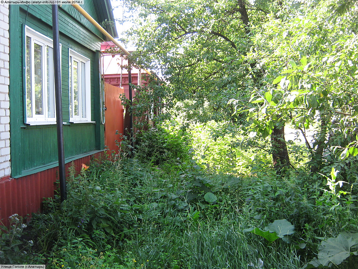 Улица Гоголя . 01 июля 2014 (вт).