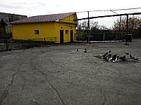 Туалет. 20 апреля 2023 (чт).