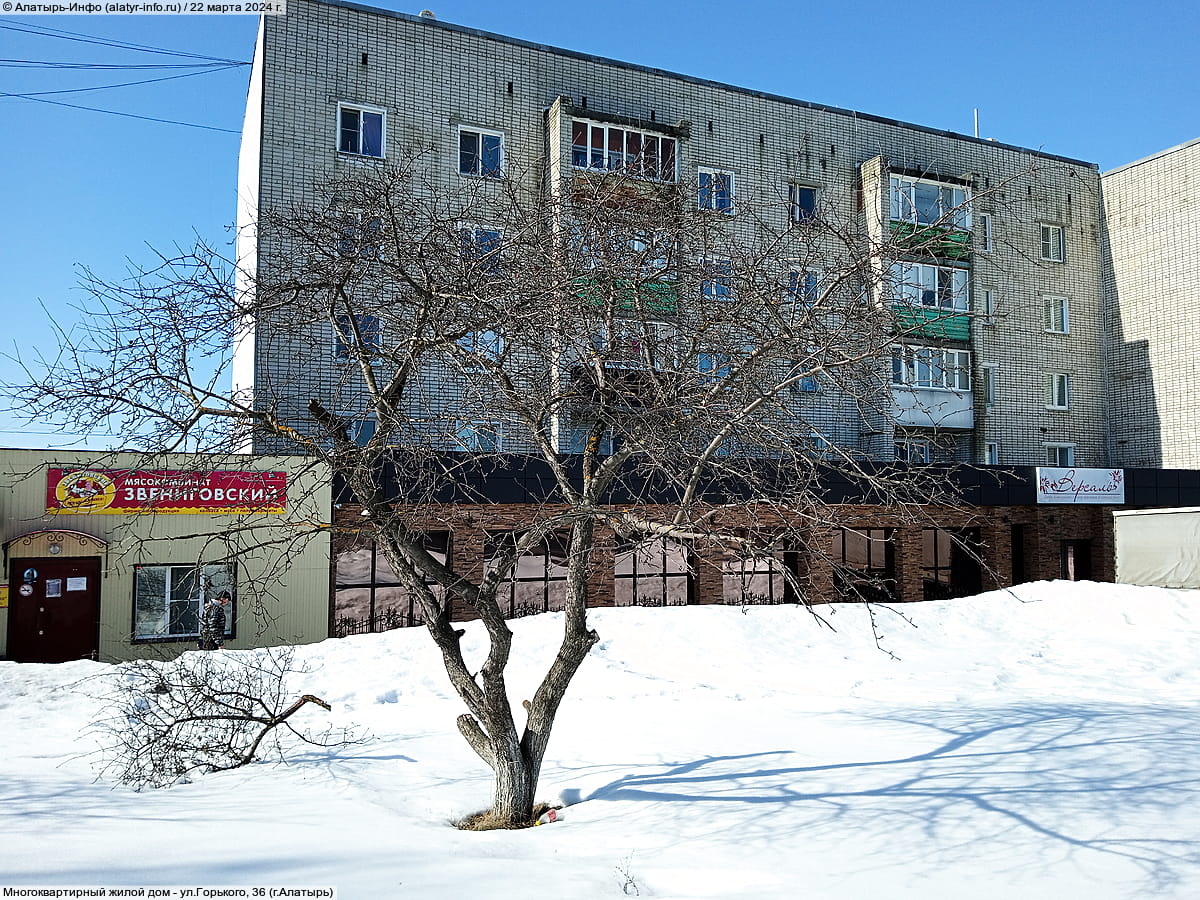 ул. Горького, 36 (г. Алатырь) - многоквартирный жилой дом.