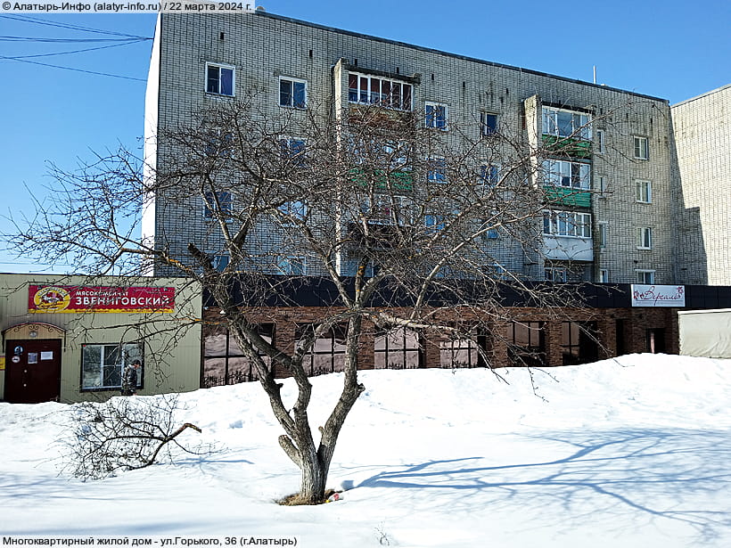 ул. Горького, 36 (г. Алатырь). 22 марта 2024 (пт).