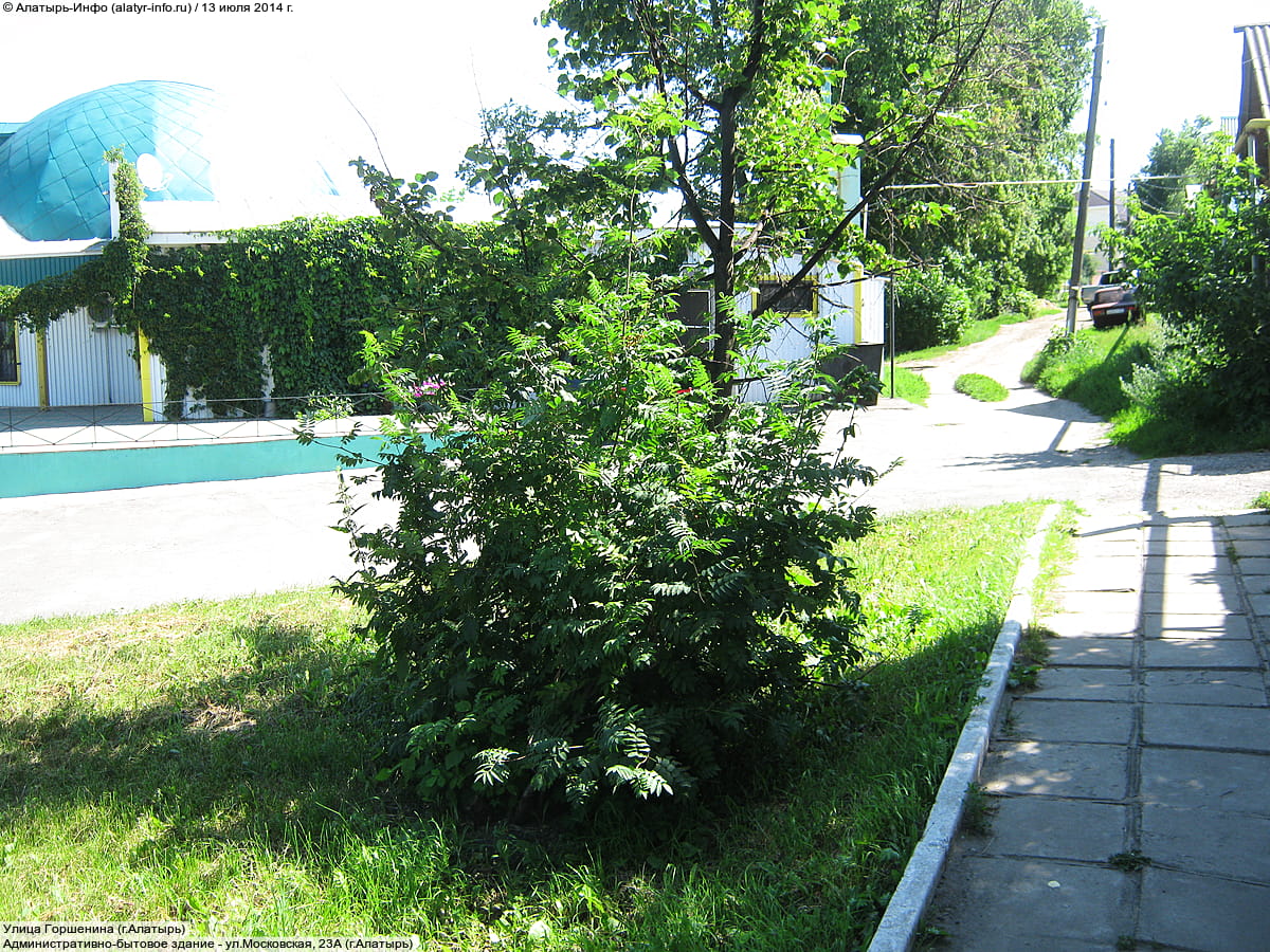 "Караван", кафе-бар.