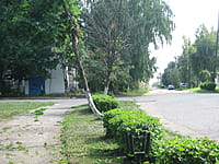 Улица Кирова . 13 июля 2014 (вс).