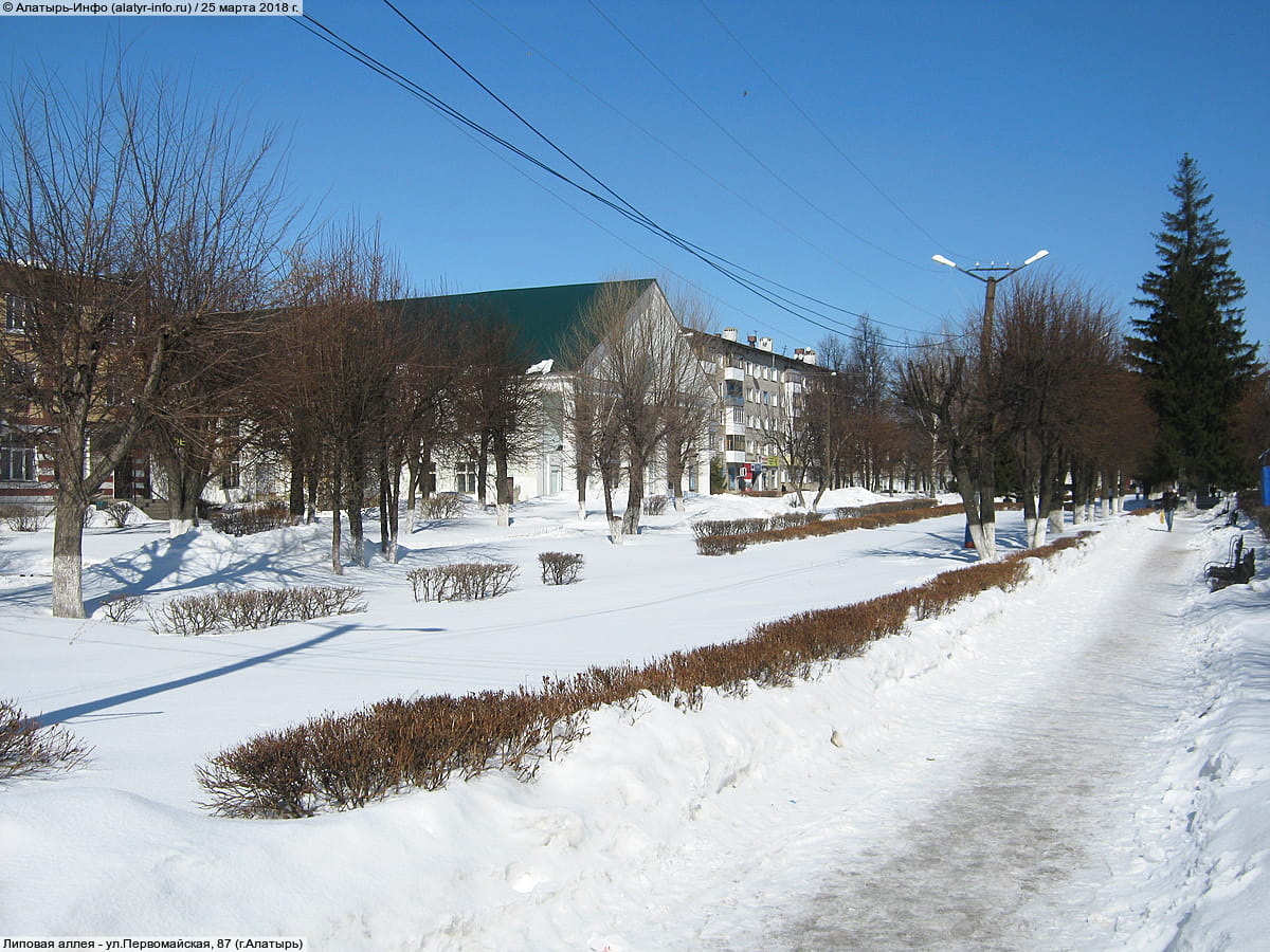 Липовая аллея. 25 марта 2018 (вс).