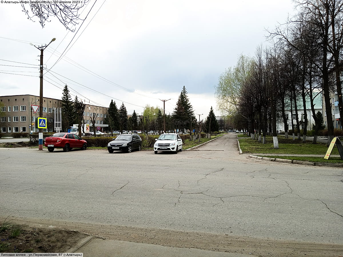 Липовая аллея. 20 апреля 2023 (чт).