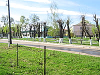 Улица Московская (г. Алатырь). 07 мая 2015 (чт).