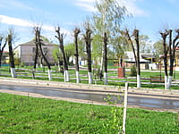 Памятник С.Д.Эрьзя. 07 мая 2015 (чт).