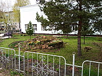 Хозяйственная постройка. 20 апреля 2023 (чт).