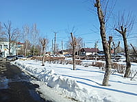 Улица Первомайская (г. Алатырь). 22 марта 2024 (пт).