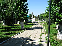 Сквер И.П. Боронина, В.Ф.Ветвинского. 13 июля 2014 (вс).