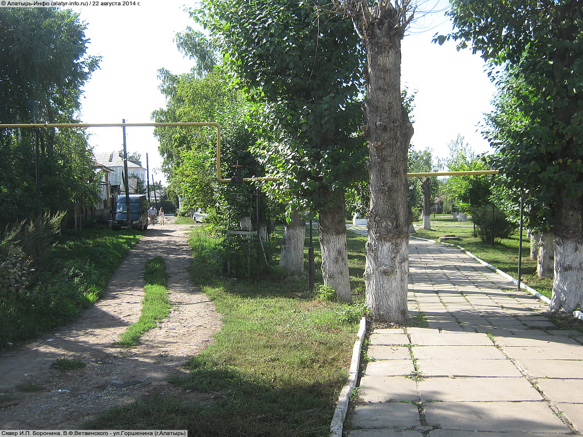 Сквер И.П. Боронина, В.Ф.Ветвинского. 22 августа 2014 (пт).