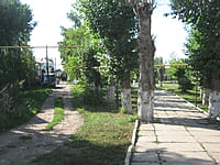 Сквер И.П. Боронина, В.Ф.Ветвинского. 22 августа 2014 (пт).