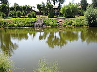 Сквер "Прудок". 13 июля 2014 (вс).