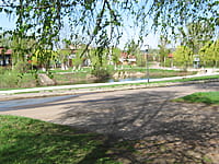 Сквер "Прудок". 07 мая 2015 (чт).