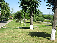 Сквер "Прудок". 13 июля 2014 (вс).