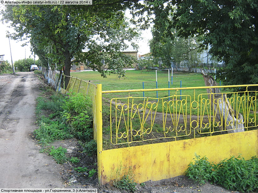 ул. Горшенина, 3 (г. Алатырь). 22 августа 2014 (пт).