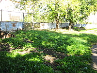 Спортивная площадка. 21 сентября 2014 (вс).