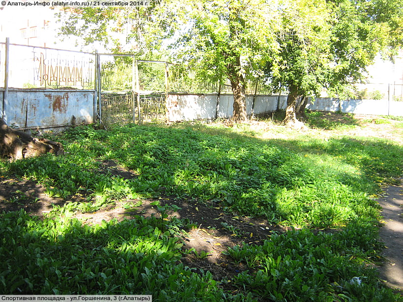 ул. Горшенина, 3 (г. Алатырь). 21 сентября 2014 (вс).