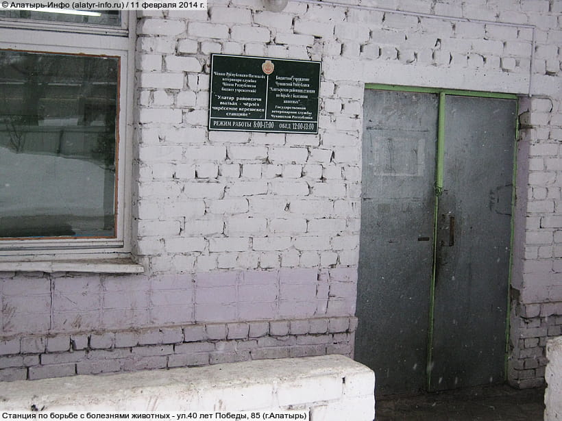 ул. 40 лет Победы, 85 (г. Алатырь). 11 февраля 2014 (вт).