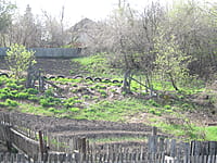 Огород с хозяйственными постройками. 07 мая 2015 (чт).