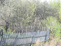 Огород с хозяйственными постройками. 07 мая 2015 (чт).