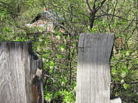 Индивидуальный жилой дом с участком. 07 мая 2015 (чт).