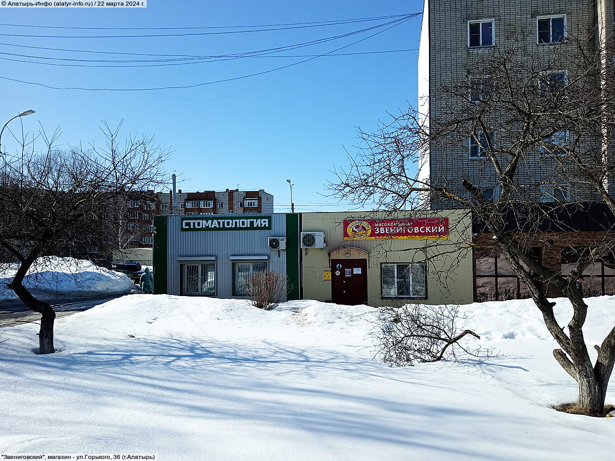 "Звениговский", магазин.